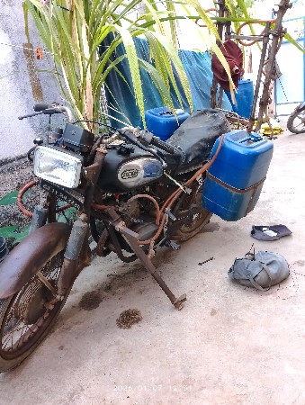 બળદ વેચવાના છે