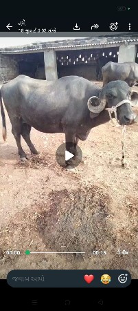 હવા મહિનામાં વ્યાય જાશે