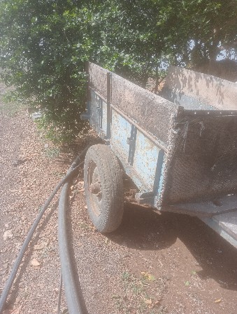 mini toli