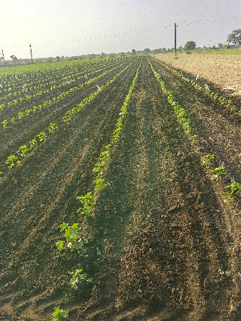 v s t હા રે યુવરાજ ટ્રેક્ટર