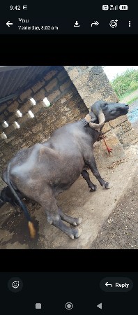 આ ખડાઈ  વેચવાની છે