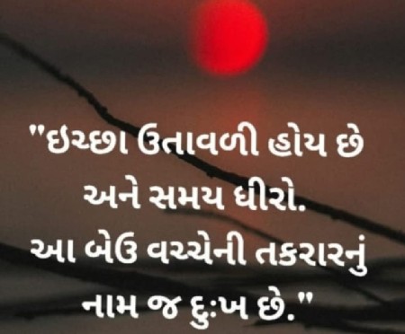 સિંગલ ફેઝ સબમર્શીબલ સેટ