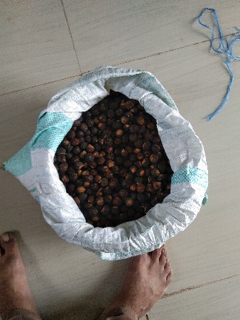અરીઠા વેચવાના છે