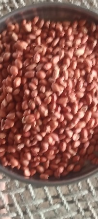 ગોવિંદ ભાઈ રબારી.ફોન9081825352