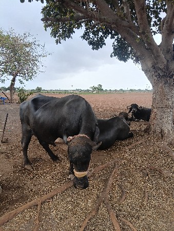 7984059075