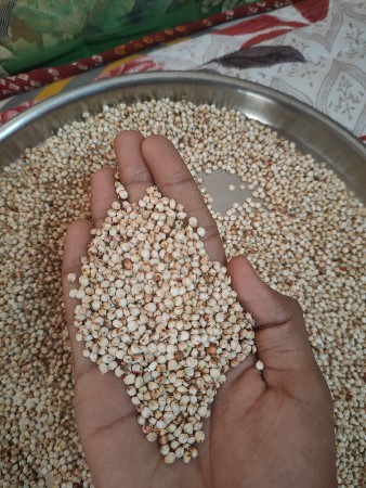 આ જુવાર વેચવાની છે.
