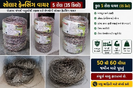 ઝટકા દોરી