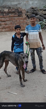 7 મહિના
