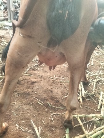 jdvshdbdh
