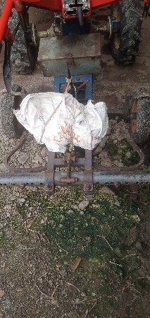 શિંગડા વાળા