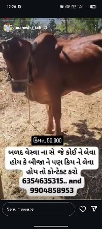 વેસવા ના છે