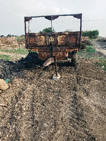ટેલરવેસવાનુસે90સે