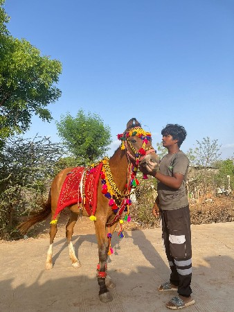 વસેરી વેચવાની છે