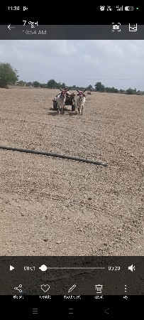 ગામ અણીયારી