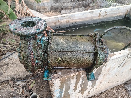ઍનજલ
