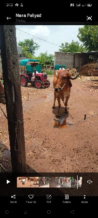 વેચવા ના છે