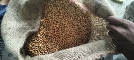 soya bi vesvanu che