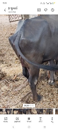 વેચવાની છે