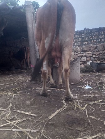 veraval