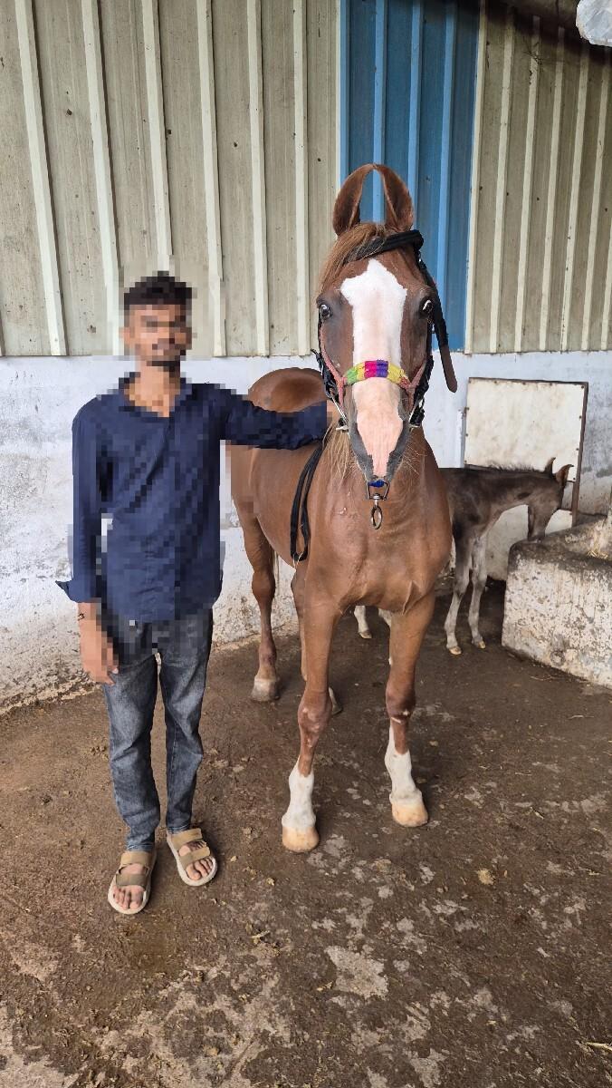 લક્ષ્મી કદમ ઘોડી વેસવાની સે