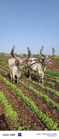 3 ધર પૂરી થઈ