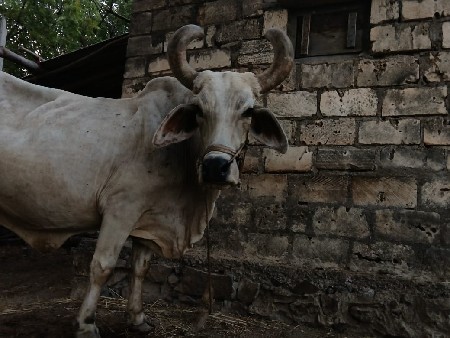 ટોટલ. જવાબ  દારી