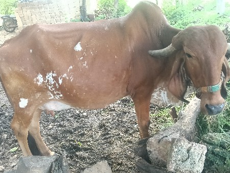 mo.9824969635