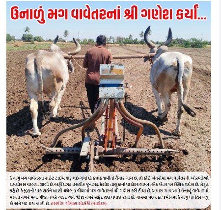 એક 4ધર નો એક 5 ધર ને ફુલ જવાબદારી