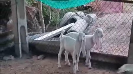 9898777132
