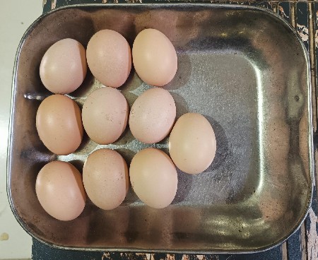 દેશી મૂરઘી