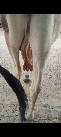 ફફ