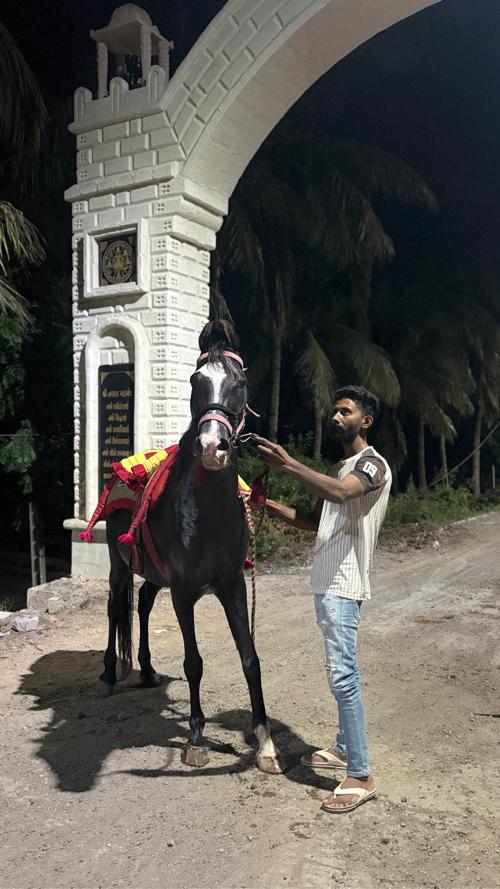 GHODI