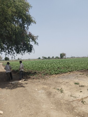 જમીન લે વેચ માટે મળો.8980478287