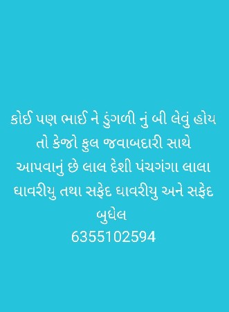 ડુંગળી નું બી વેચવાનું છે