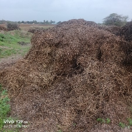 ૪૯ માંડવી નો ભુકૌ