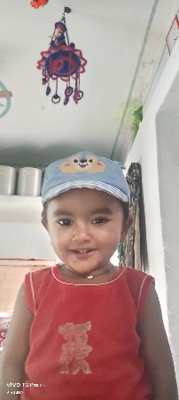 G 45 માંડવી નું બિયારણ