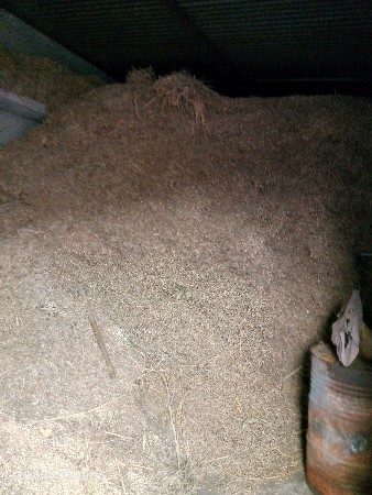 મગફળી નો પાલો વેસવાનો છે કોરો