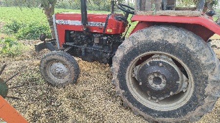 241 Massey 2016