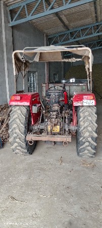 કંપની ફિટિંગ 
પીળો પટ્ટો