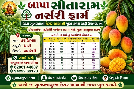 કેસર કલમ મલછે