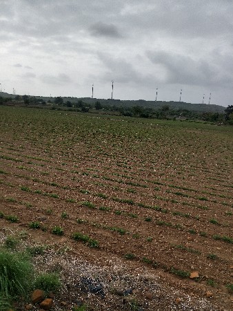 જેવી જમીન લેવી હોય તેવી મળશે