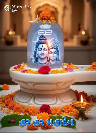 39 ના દાણા