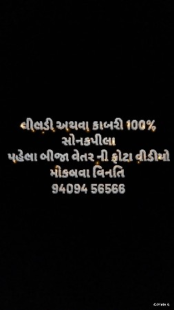 ગાય લેવી છે