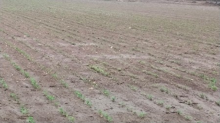 જમીન વેચવાની છે