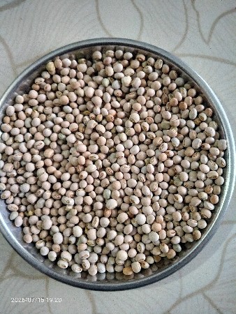 તુવેર નુ બીયારણ વેચવા નુ છે