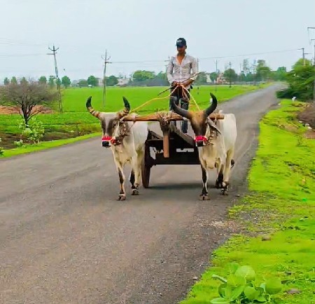 બધા મજામાં આલાપરા આપેલ છે મને મા મ