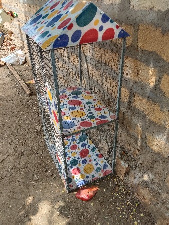 પીજરૂ વેચવાનું છે