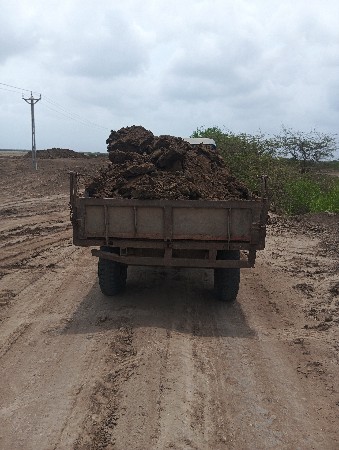 टोलीवेचवानीछे