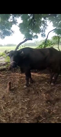9723197610. ફોન કરો