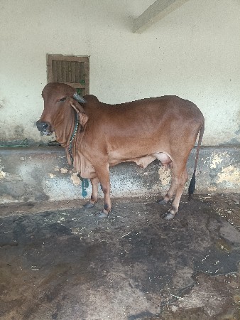 9725322565